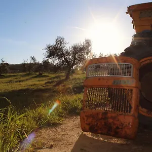 Agricampeggio La Piaggia - , Piombino Italie